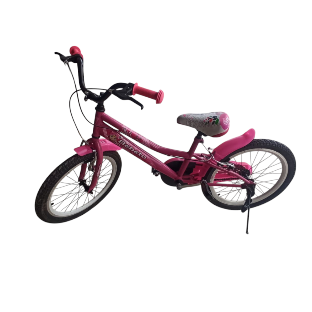 20 JANT BİSİKLET DUBLE JANT LÜX CENİX / BEBETO - PEMBE
