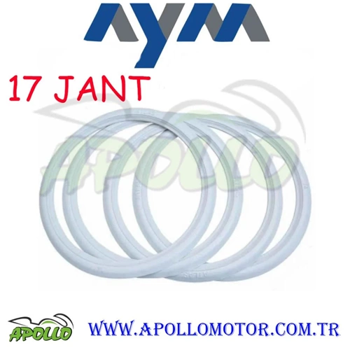 17 JANT YANAK -- AYM
