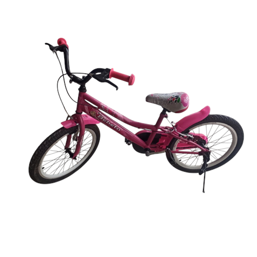 20 JANT BİSİKLET DUBLE JANT LÜX CENİX / BEBETO - PEMBE