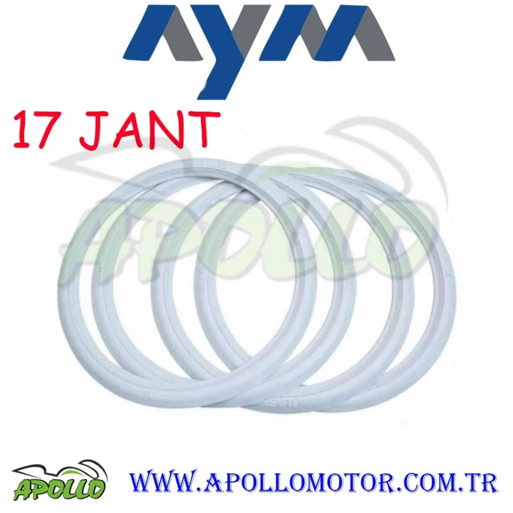 17 JANT YANAK -- AYM