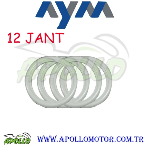 12 JANT YANAK -- AYM