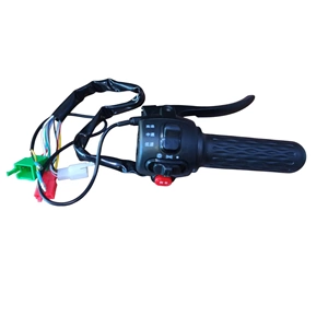E-BİKE GAZ + VİTES KOLU KÜTÜK YM