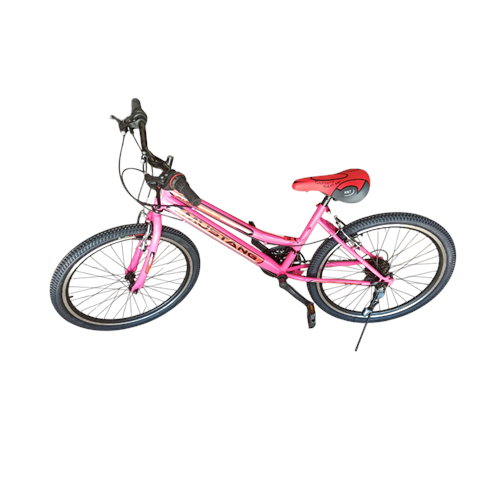 26 JANT MTB VİTESLİ BİSİKLET - BAYAN - KLASİK MODEL CENİX / MUSTANG