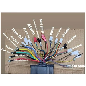 BUJA 48-60 V 500 WATT - KARA ŞİMŞEK PERFORMANS BEYİN